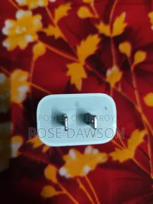 আইফোন ২০ ওয়াট ফাস্ট চার্জার