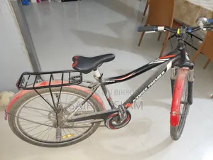 দুরন্ত বাইসাইকেল