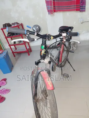 দুরন্ত বাইসাইকেল