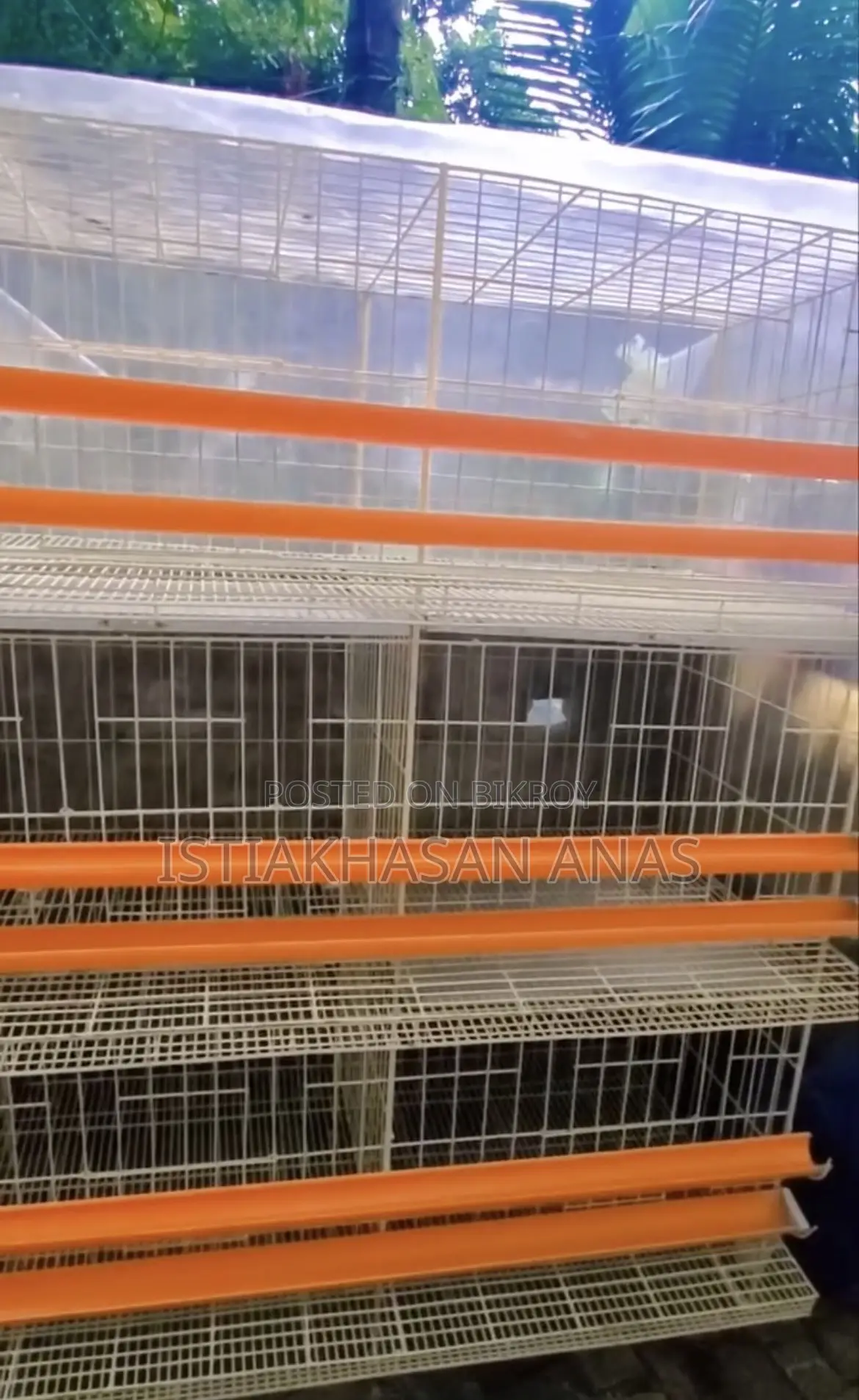 Ideal Cage for Chickens and Quails