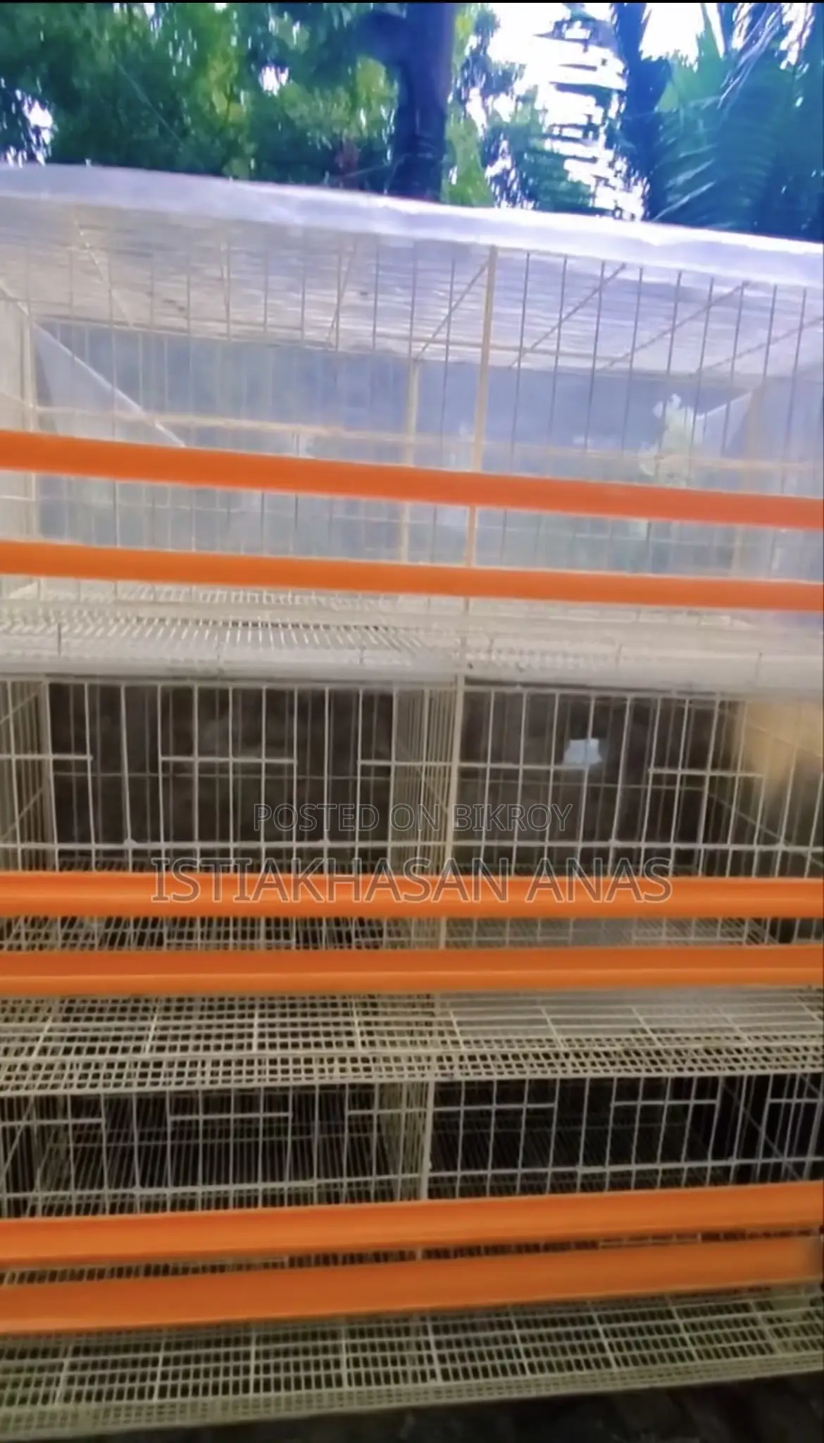 Ideal Cage for Chickens and Quails