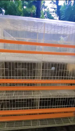 Ideal Cage for Chickens and Quails