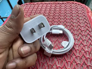 Apple Original Adapter and Cable