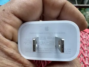 Apple Original Adapter and Cable