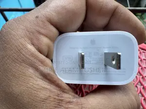 Apple Original Adapter and Cable