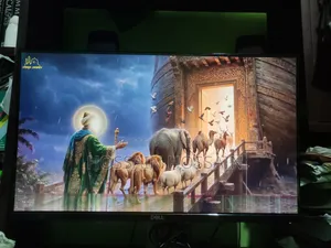 Original Dell 22 Inch Monitor IPS Display (1 Mark)