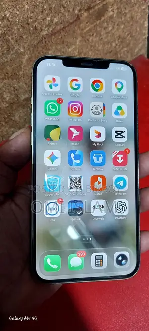 অ্যাপল আইফোন ১২ প্রো ম্যাক্স ২৫৬ জিবি গোল্ড