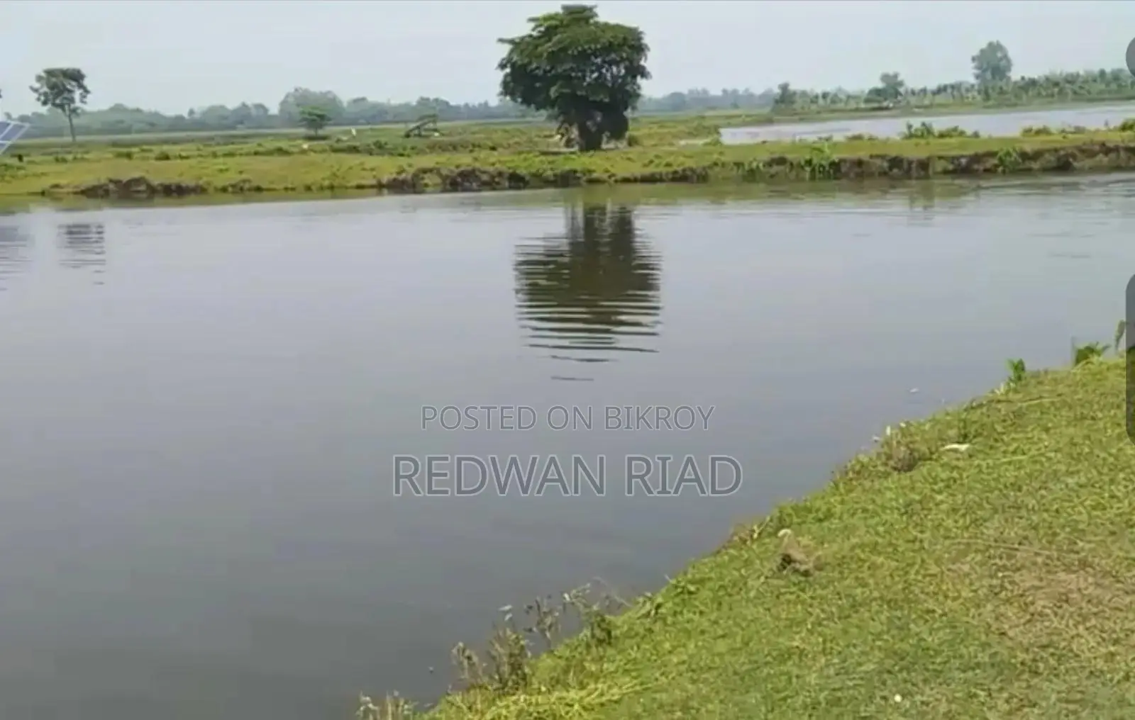 ঠাকুরগাঁও সদরে পুকুর বিক্রয়