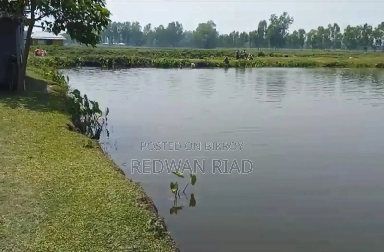 ঠাকুরগাঁও সদরে পুকুর বিক্রয়