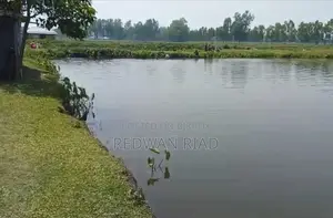 ঠাকুরগাঁও সদরে পুকুর বিক্রয়