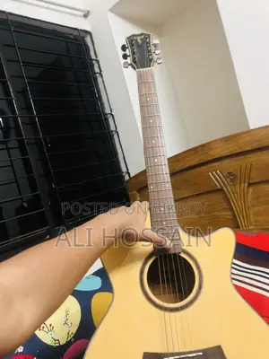 Lsten Guitar