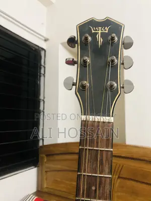 Lsten Guitar