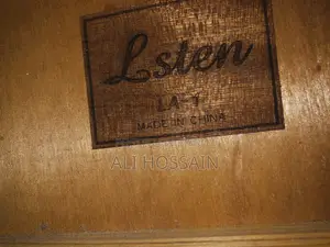 Lsten Guitar