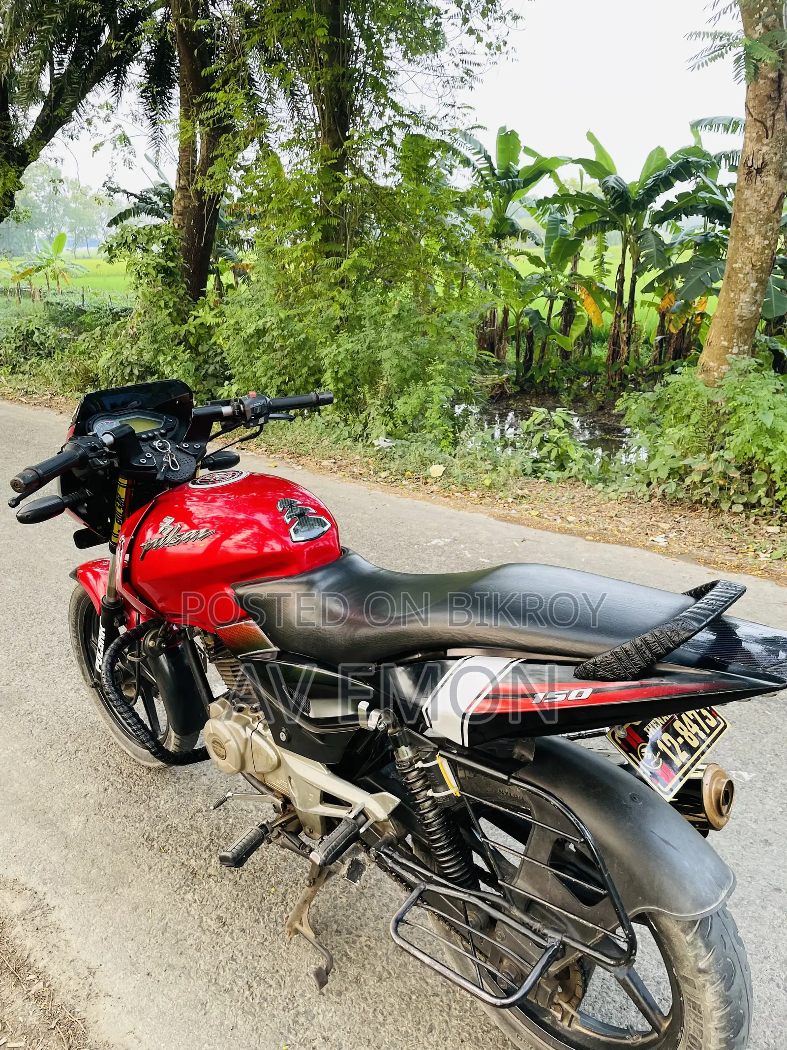 বাজাজ পালসার ১৫০ ২০১৩ রেড