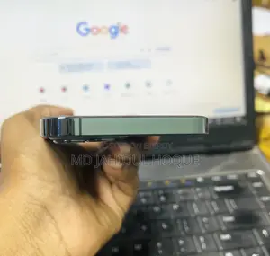 অ্যাপল আইফোন ১২ প্রো ২৫৬ জিবি নীল