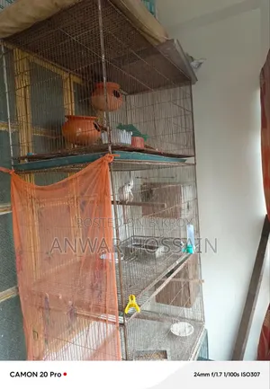 Large cage for sale