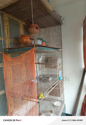 Large cage for sale