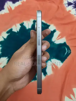 Apple iPhone 15 Pro Max 256 GB Silver