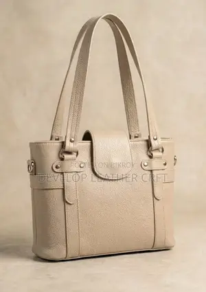 Ladies Handbag