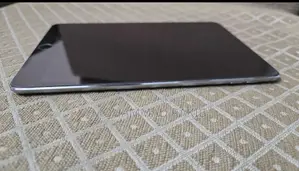 Apple iPad mini 4 128 GB Gray