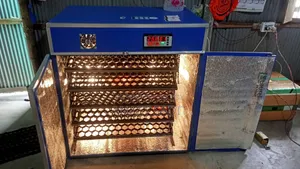 ডিম ফুটানোর মেশিন