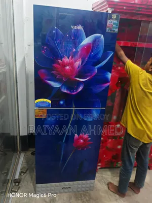 ভিশন ফ্রিজ