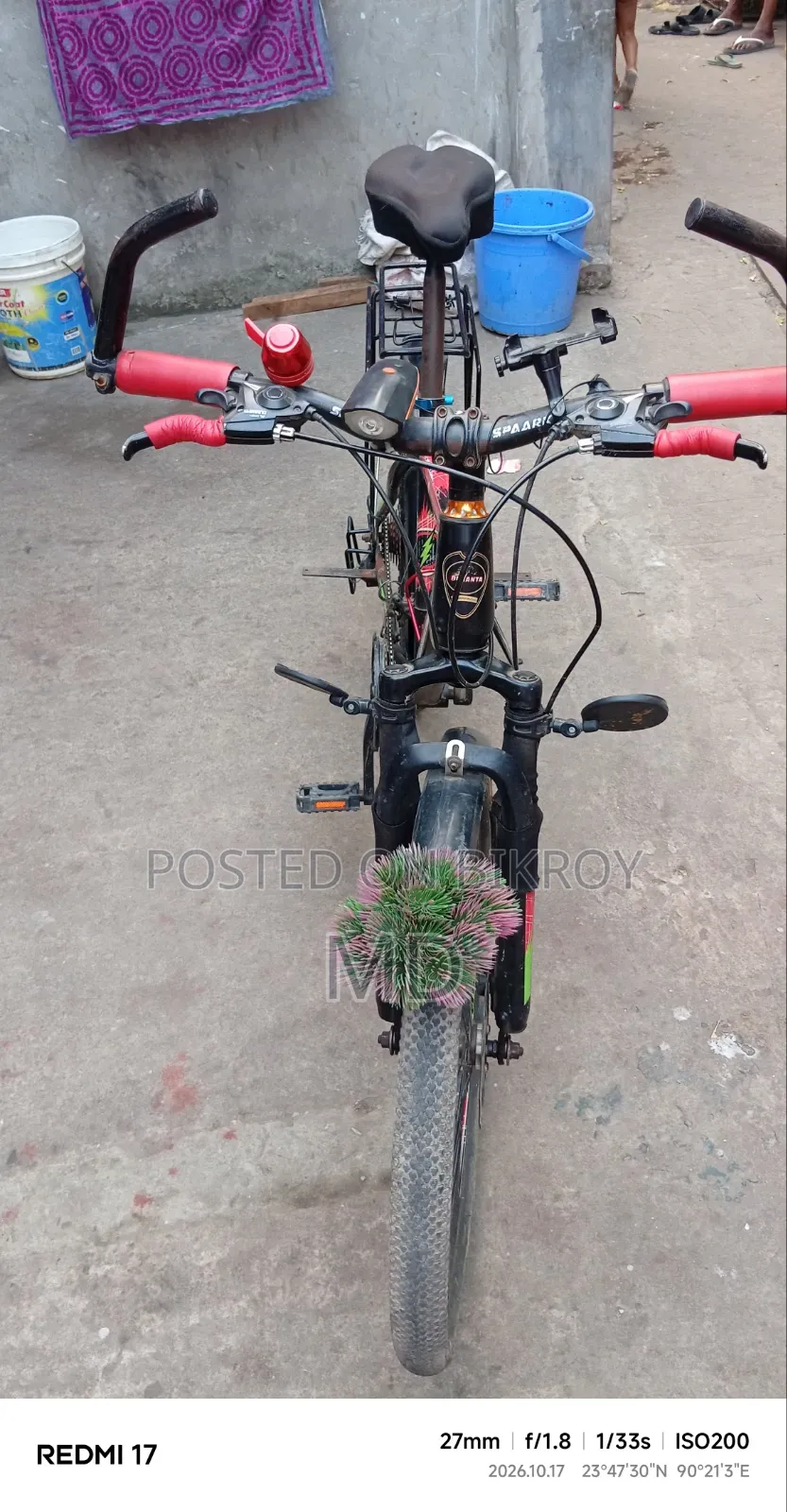 রাশিদুল হাসান রাব্বি