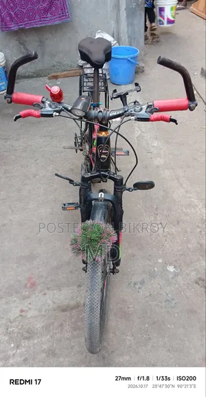 রাশিদুল হাসান রাব্বি