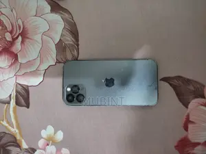 অ্যাপল আইফোন ১২ প্রো ১২৮ জিবি গ্রাফাইট