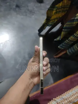Apple iPhone 12 Pro Max 256 GB Gold