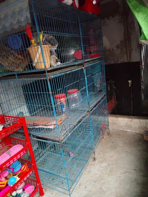 Good condition blue iron wire cage for birds/chickens for sale.