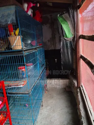 Good condition blue iron wire cage for birds/chickens for sale.