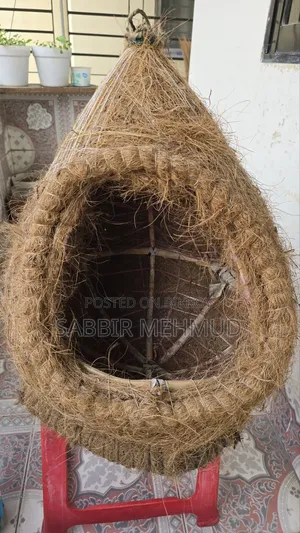 বিড়ালের পালার সম্পূর্ণ সেট বিক্রি হবে