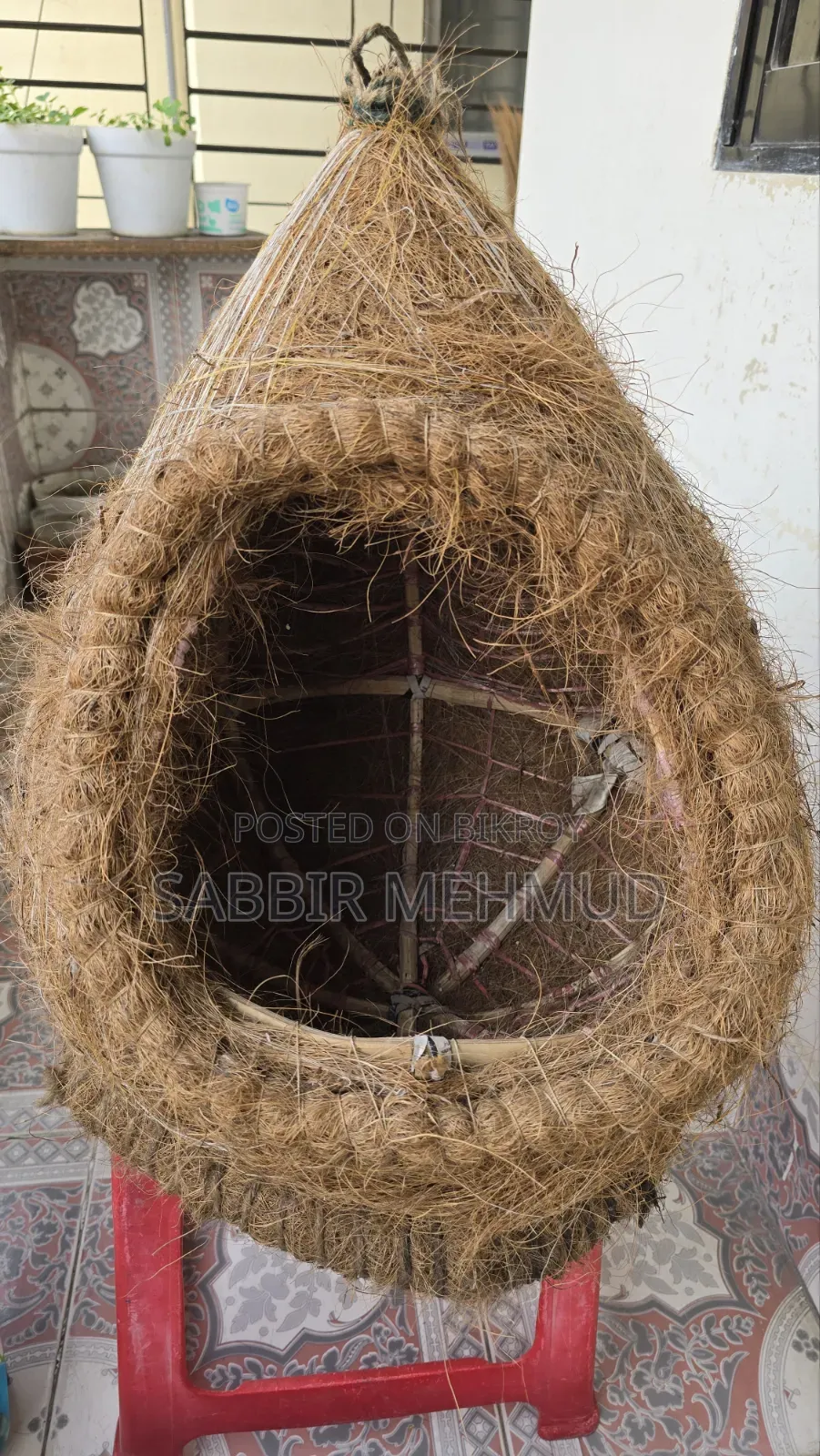 বিড়ালের পালার সম্পূর্ণ সেট বিক্রি হবে