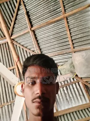 জরুরী নাইট গার্ড প্রয়োজন