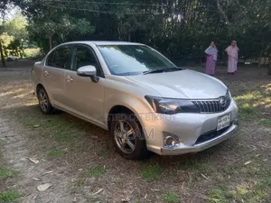টয়োটা অ্যাক্সিও ২০১২ সিলভার