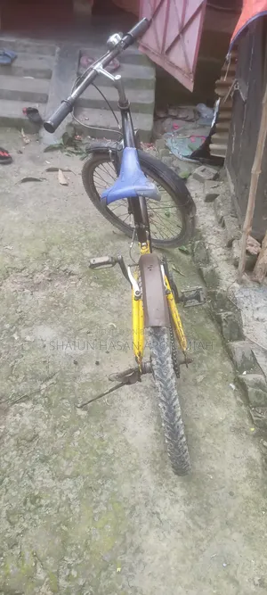সাইকেল ফর সেল