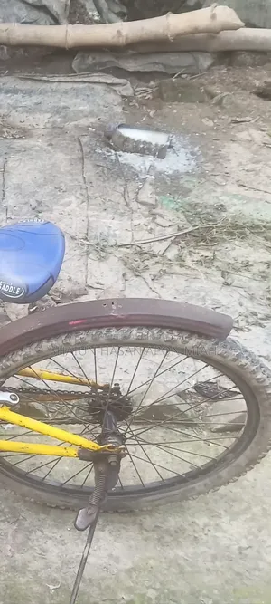 সাইকেল ফর সেল