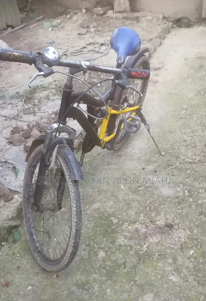সাইকেল ফর সেল