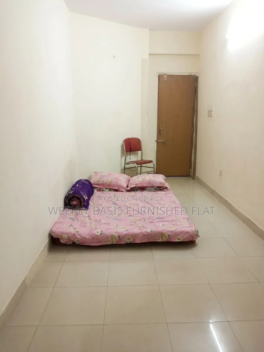 Furnished Studio Apartment in আজকে উঠা যাবে, Mirpur for rent