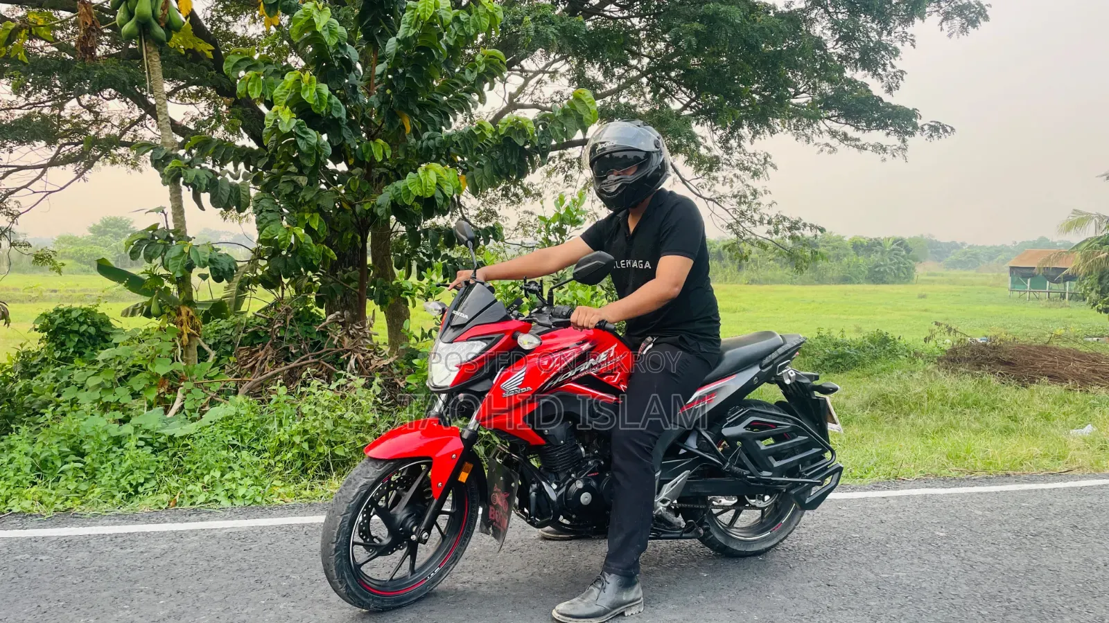 Honda Hornet 2020 Red