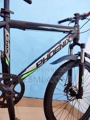 Phoenix Non-Gear Cycle
