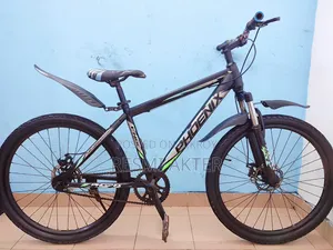Phoenix Non-Gear Cycle