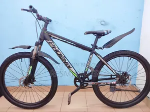 Phoenix Non-Gear Cycle