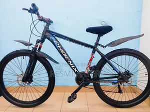 8 Gear Phoenix Cycle