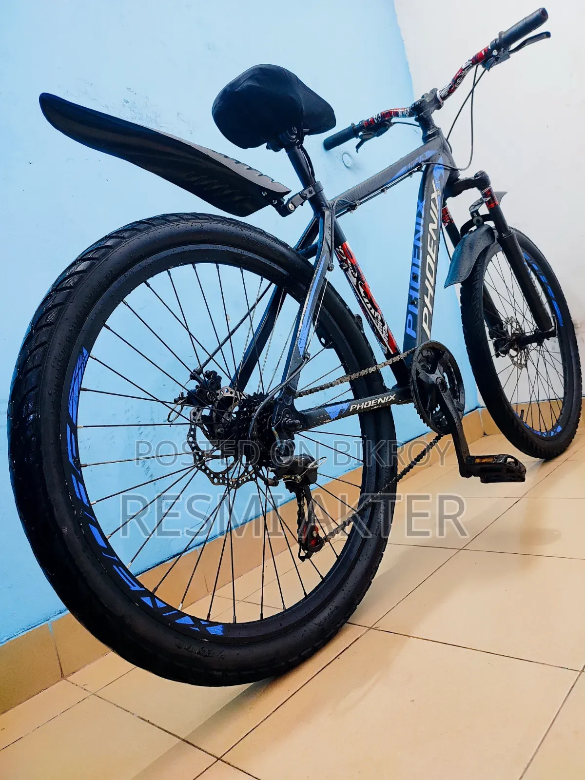 8 Gear Phoenix Cycle
