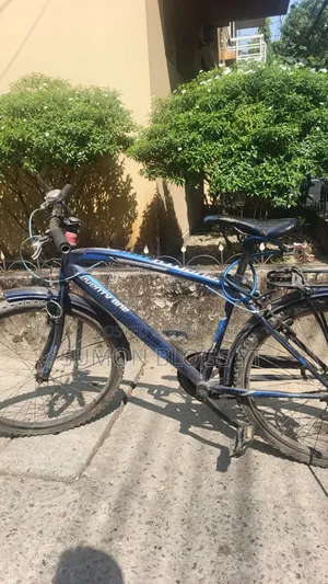 Bicycle