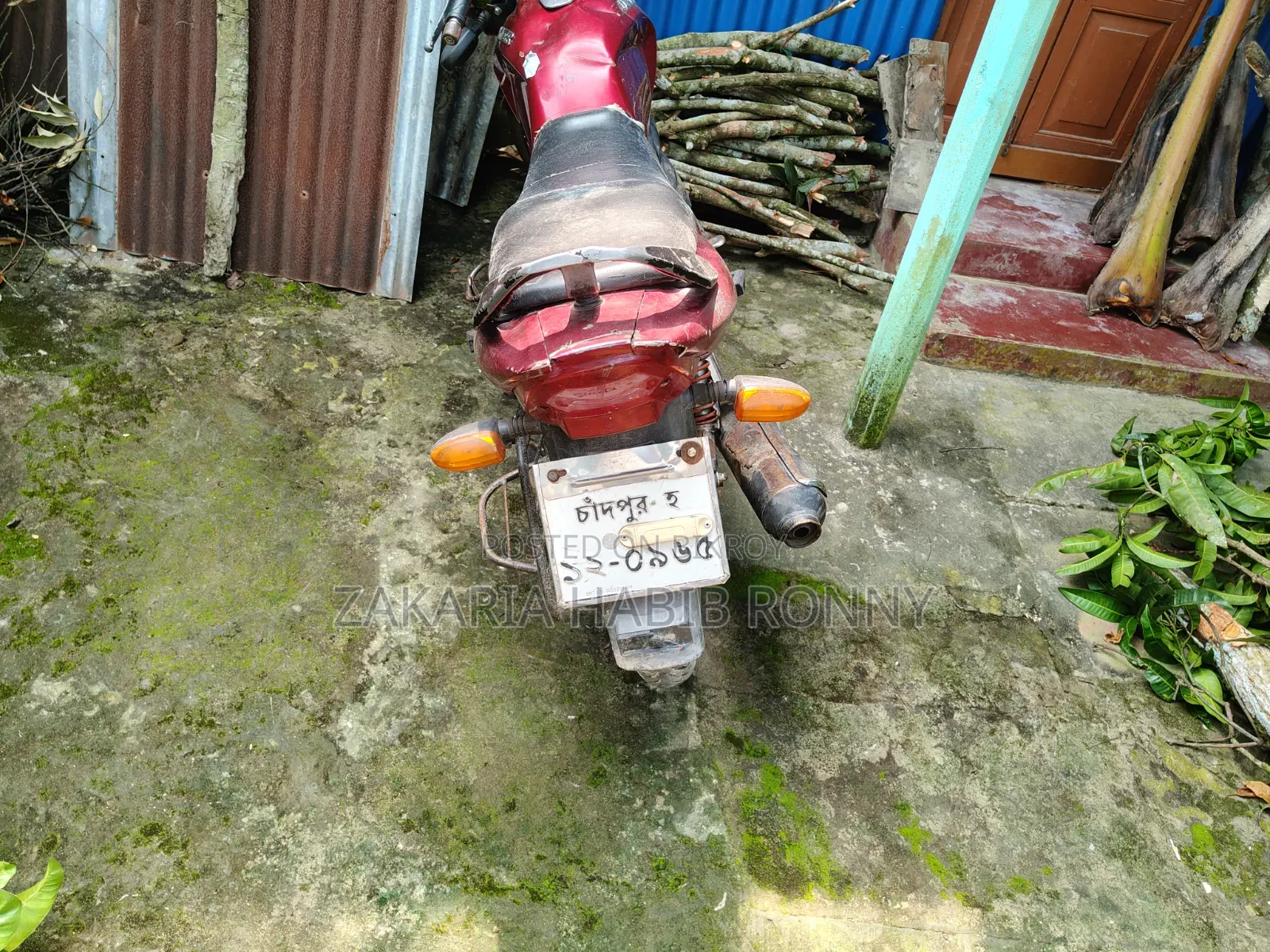 Runner Bullet 100 2019 Red