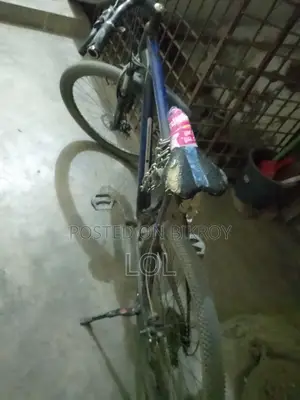 ভালো সাইকেল