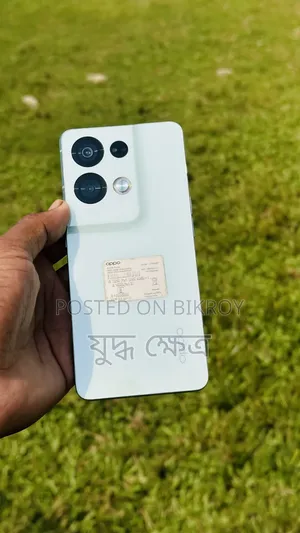 Oppo Reno 256 GB Green